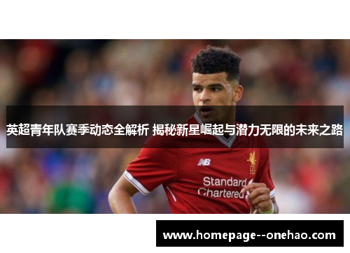 英超青年队赛季动态全解析 揭秘新星崛起与潜力无限的未来之路