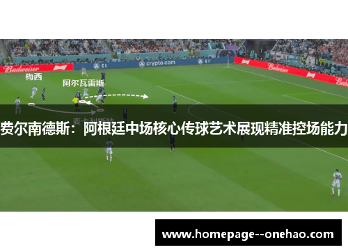 费尔南德斯：阿根廷中场核心传球艺术展现精准控场能力