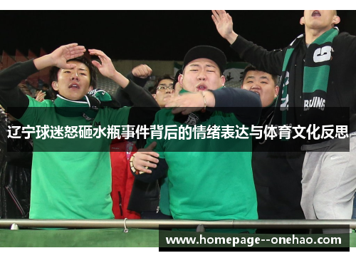 辽宁球迷怒砸水瓶事件背后的情绪表达与体育文化反思