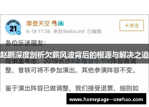 赵鹏深度剖析欠薪风波背后的根源与解决之道