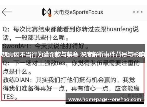 魏震因不当行为遭罚款与禁赛 深度解析事件背景与影响
