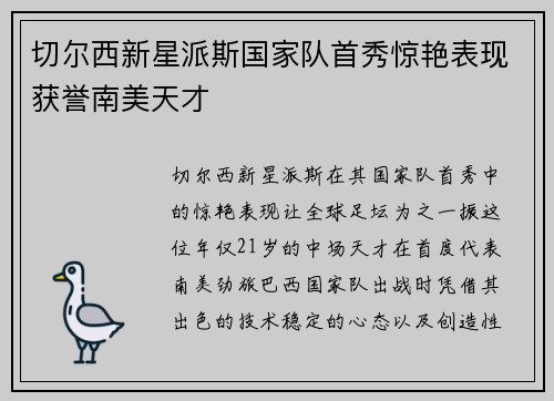 切尔西新星派斯国家队首秀惊艳表现获誉南美天才